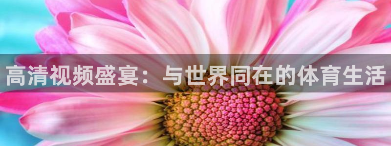 高清视频盛宴：与世界同在的体育生活