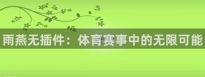 雨燕无插件：体育赛事中的无限可能