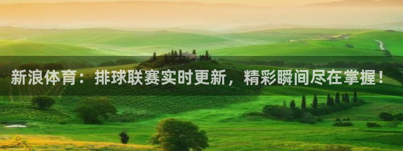 新浪体育：排球联赛实时更新，精彩瞬间尽在掌握！