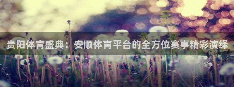 贵阳体育盛典：安顺体育平台的全方位赛事精彩演绎