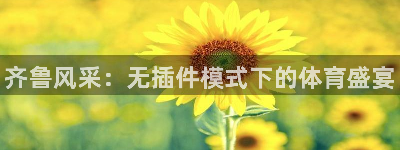齐鲁风采：无插件模式下的体育盛宴