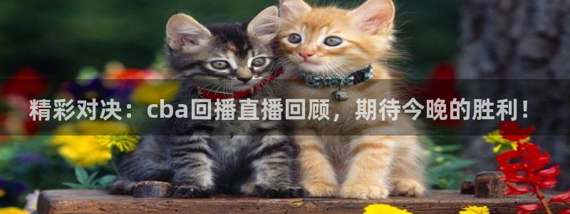 精彩对决：cba回播直播回顾，期待今晚的胜利！