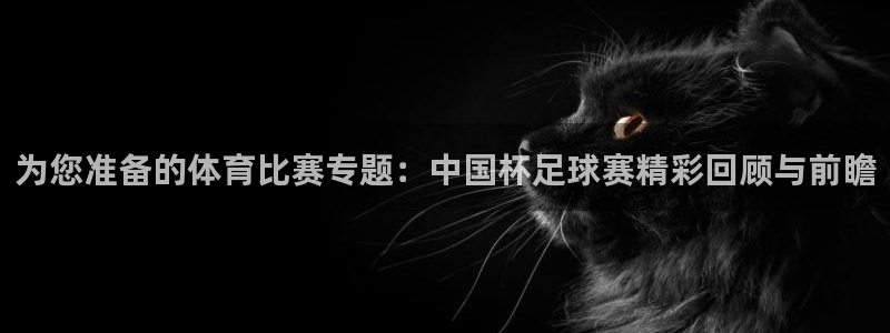 为您准备的体育比赛专题：中国杯足球赛精彩回顾与前瞻