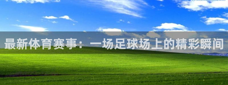 最新体育赛事：一场足球场上的精彩瞬间