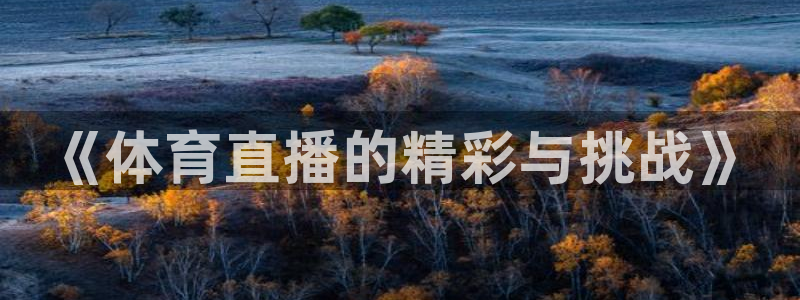 《体育直播的精彩与挑战》