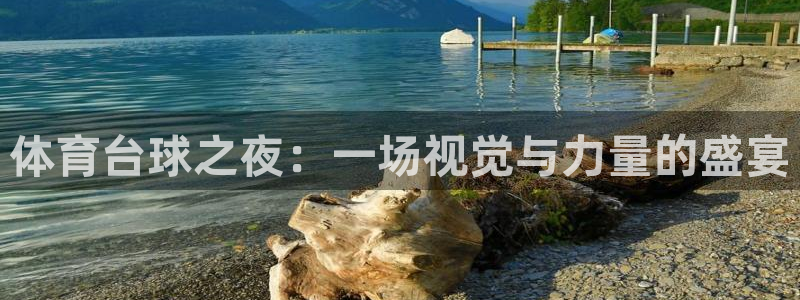 体育台球之夜：一场视觉与力量的盛宴