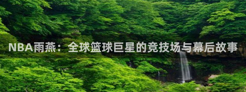 NBA雨燕：全球篮球巨星的竞技场与幕后故事