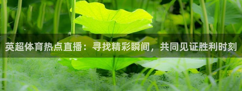 英超体育热点直播：寻找精彩瞬间，共同见证胜利时刻