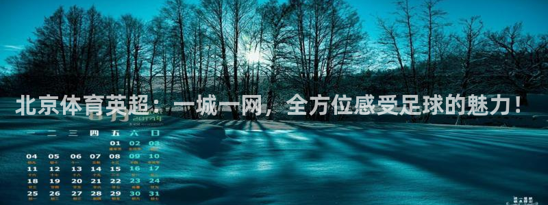 北京体育英超：一城一网，全方位感受足球的魅力！