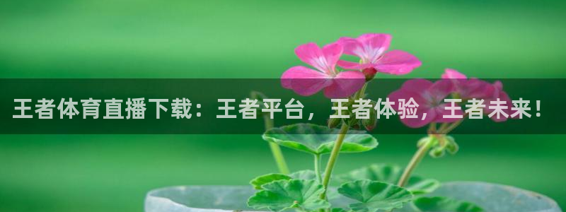 王者体育直播下载：王者平台，王者体验，王者未来！