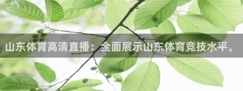 山东体育高清直播：全面展示山东体育竞技水平。