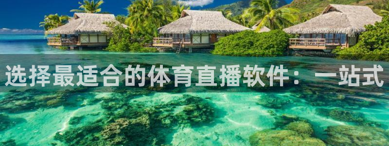 选择最适合的体育直播软件：一站式