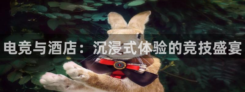电竞与酒店：沉浸式体验的竞技盛宴