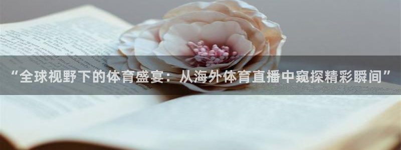 “全球视野下的体育盛宴：从海外体育直播中窥探精彩瞬间”