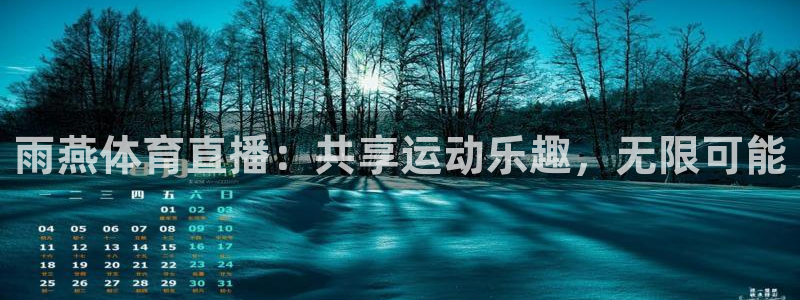 雨燕体育直播：共享运动乐趣，无限可能