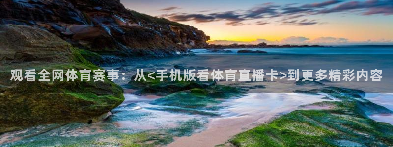 观看全网体育赛事：从<手机版看体育直播卡>到更多精彩内容