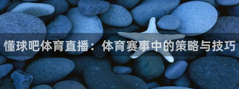 懂球吧体育直播：体育赛事中的策略与技巧