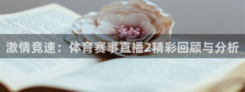 激情竞速：体育赛事直播2精彩回顾与分析