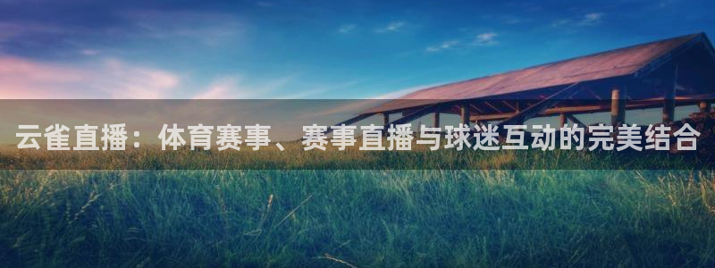 云雀直播：体育赛事、赛事直播与球迷互动的完美结合
