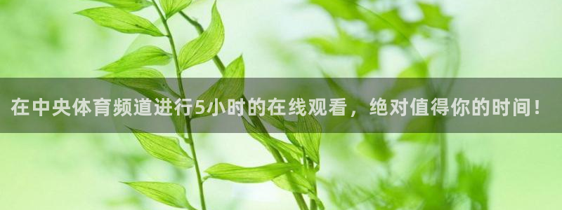 在中央体育频道进行5小时的在线观看，绝对值得你的时间！