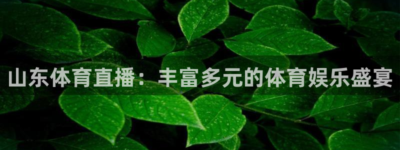 山东体育直播：丰富多元的体育娱乐盛宴