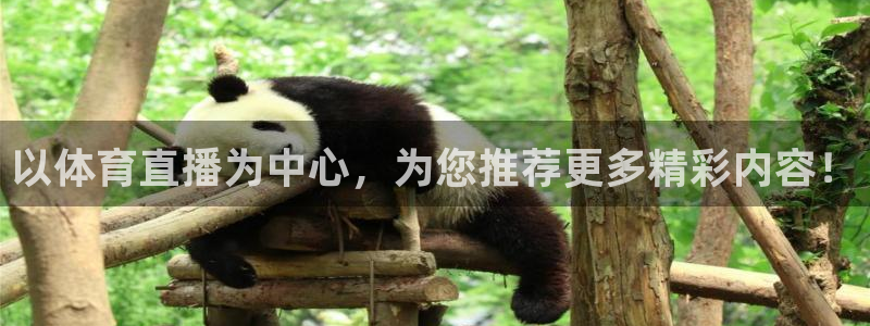以体育直播为中心，为您推荐更多精彩内容！